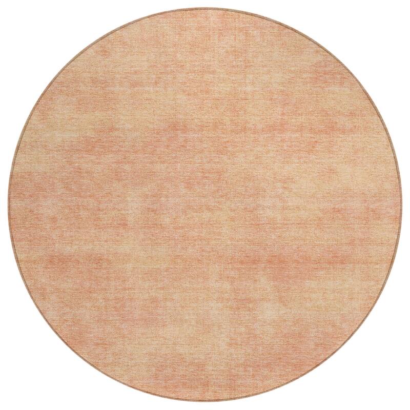 HomeRoots Solid Color Transitional Rectangle Outdoor Rug