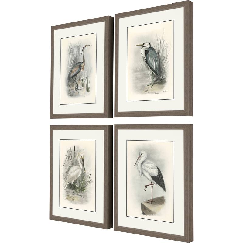 Birds S/4 Framed Art Giclee Under Glass - Grey