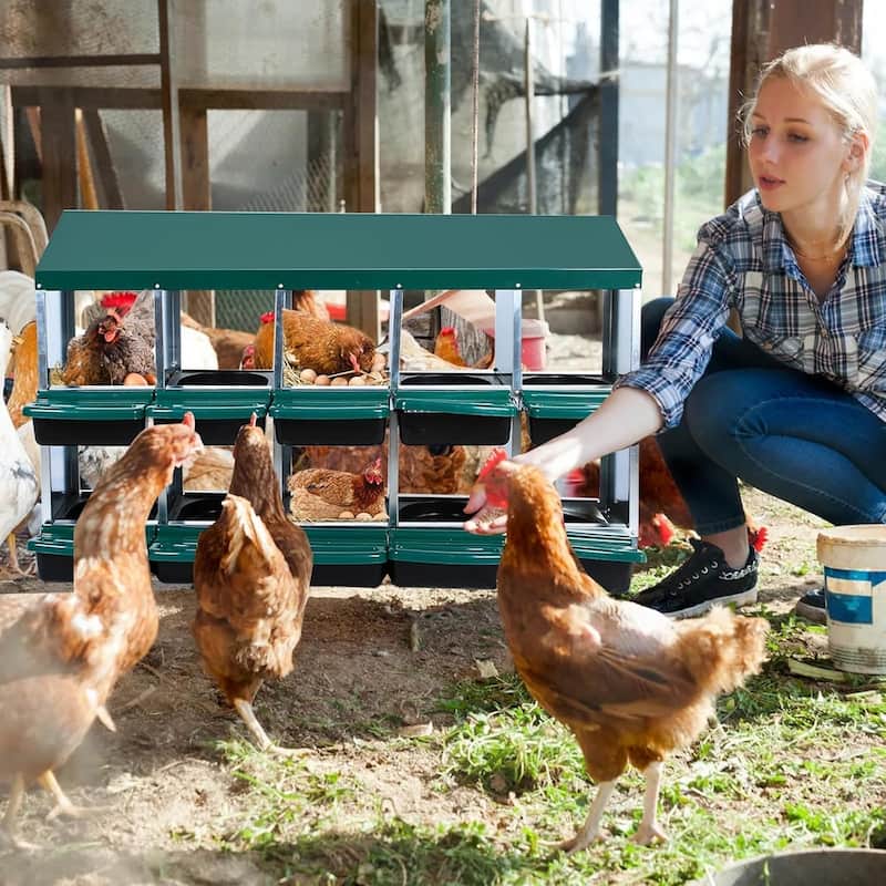 Metal Chicken Nesting Box