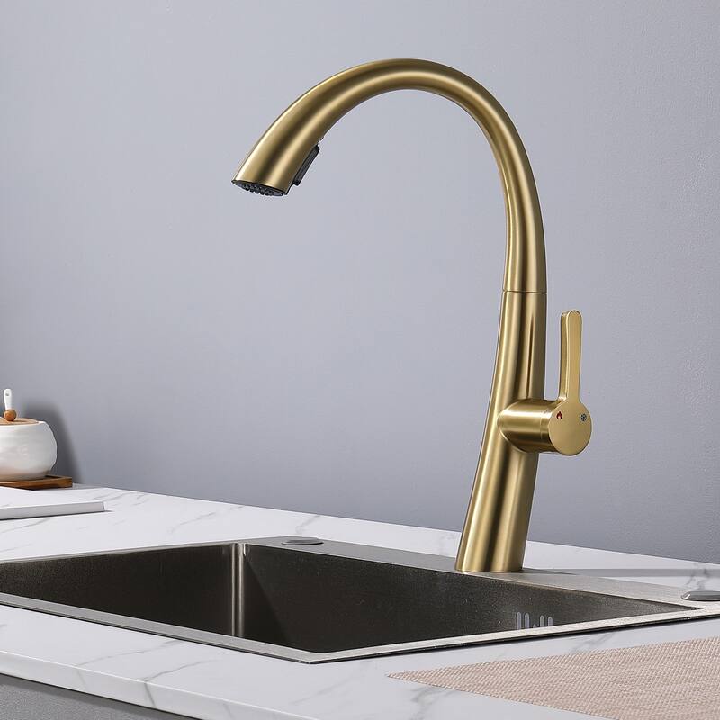Stainless steel pull-out kitchen faucet