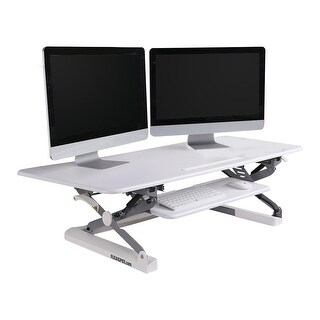 FlexiSpot M3B Adjustable Standing Desk - 47
