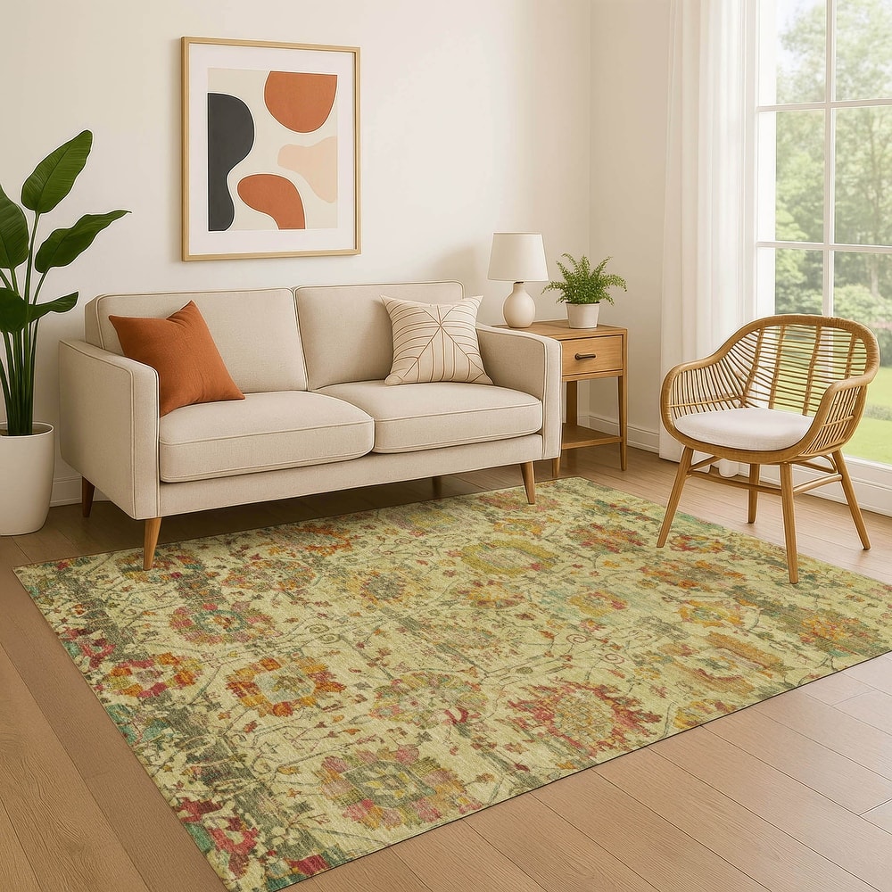 Premium Washable Super Soft Traditional Mayfield Rug