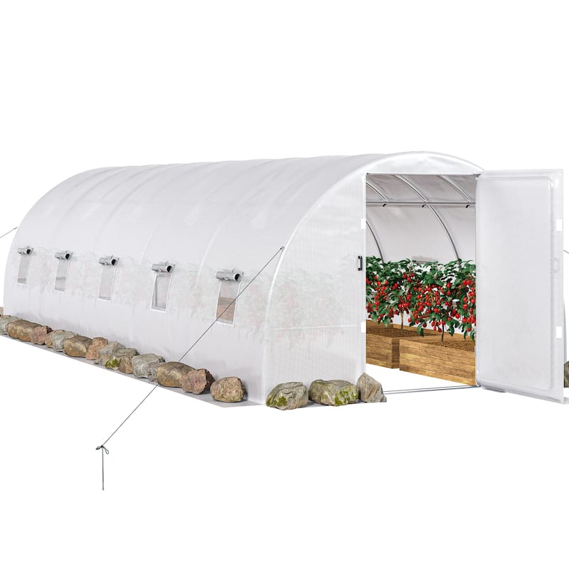 Moasis Greenhouse with Reinforced Steel Frame PE Cover - 10' X 26'