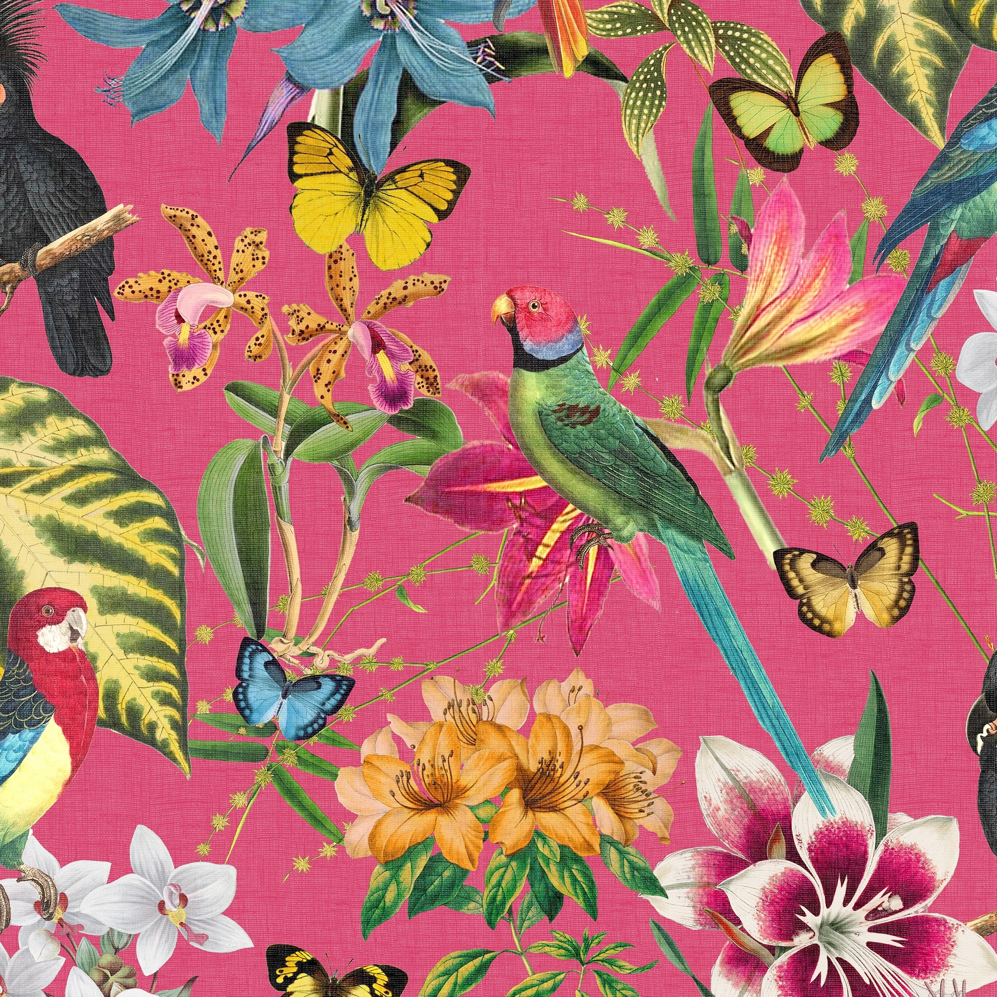 Envy Paradiso Hot Pink Wallpaper