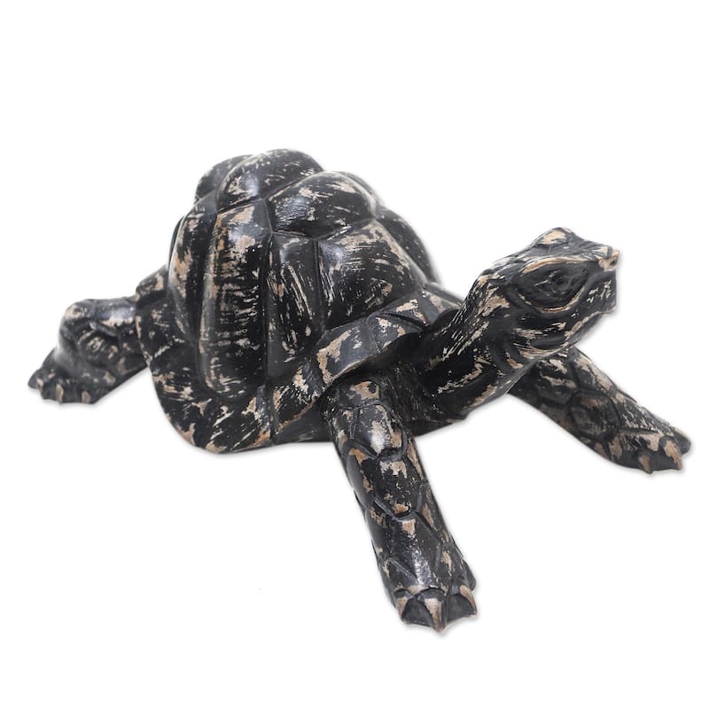 Novica Handmade Crawling Tortoise Wood Statuette