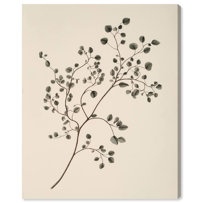 Bilberry Branch Canvas by Art Remedy, Gallery Wrapped - 20" x 24"