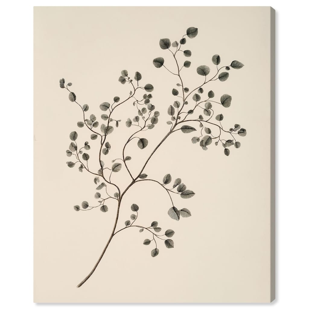 Bilberry Branch Canvas by Art Remedy, Gallery Wrapped