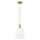 preview thumbnail 65 of 81, Innovations Lighting Endless Possibilities Arcadia - Bridal Veil - 1 Light 8" Cord Hung Mini Pendant Brushed Brass/Gloss White Shade