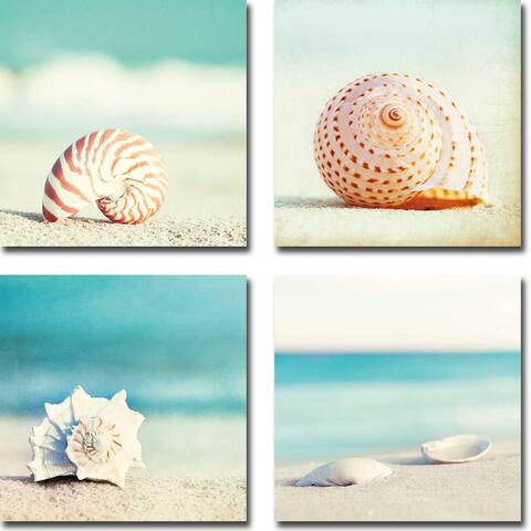 Seashells by Carolyn Cochran 4-pc Gallery Wrapped Canvas Giclee Set (12 in x 12 in Each Canvas in Set)