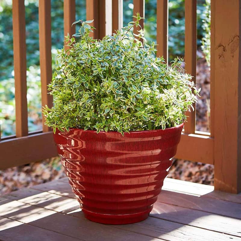 Southern Patio Beehive Planter