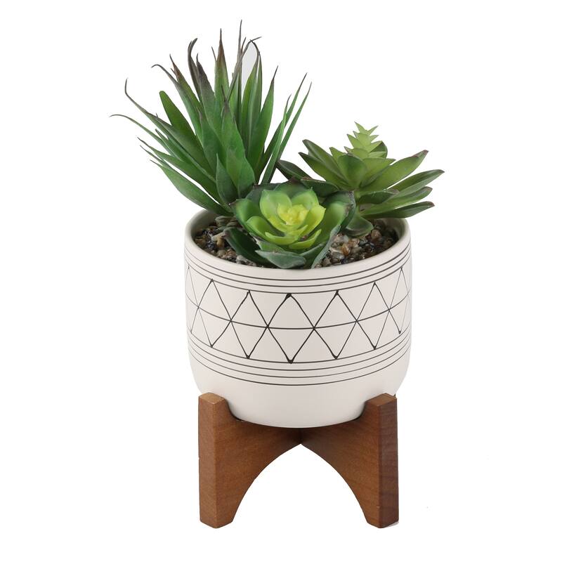 Artificial Plant Succulent IN GOLD HANDPIANT 5" CERAMIC FOOTED STAND - ONE-SIZE - Black