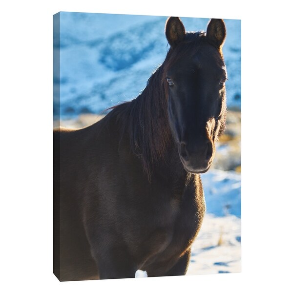 PTM Images 9-108376 PTM Canvas Collection 10" x 8" - "Horse Fort Ranch 7" Giclee Horses Art Print on Canvas