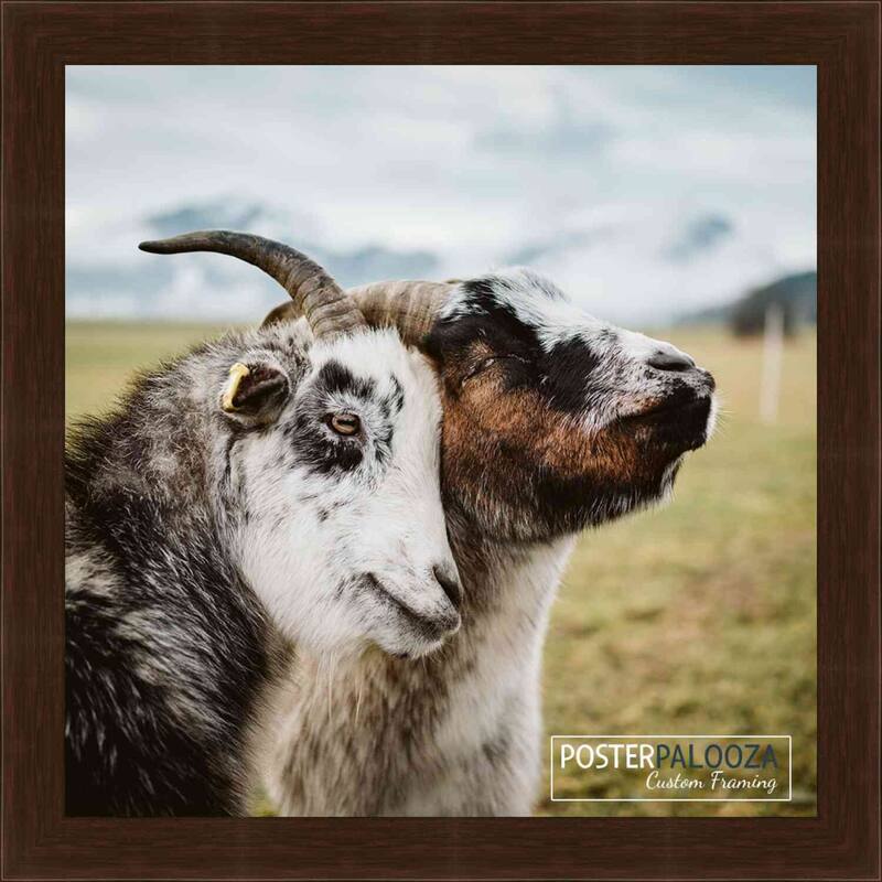 18x18 Traditional Mahogany Wood Picture Square Frame