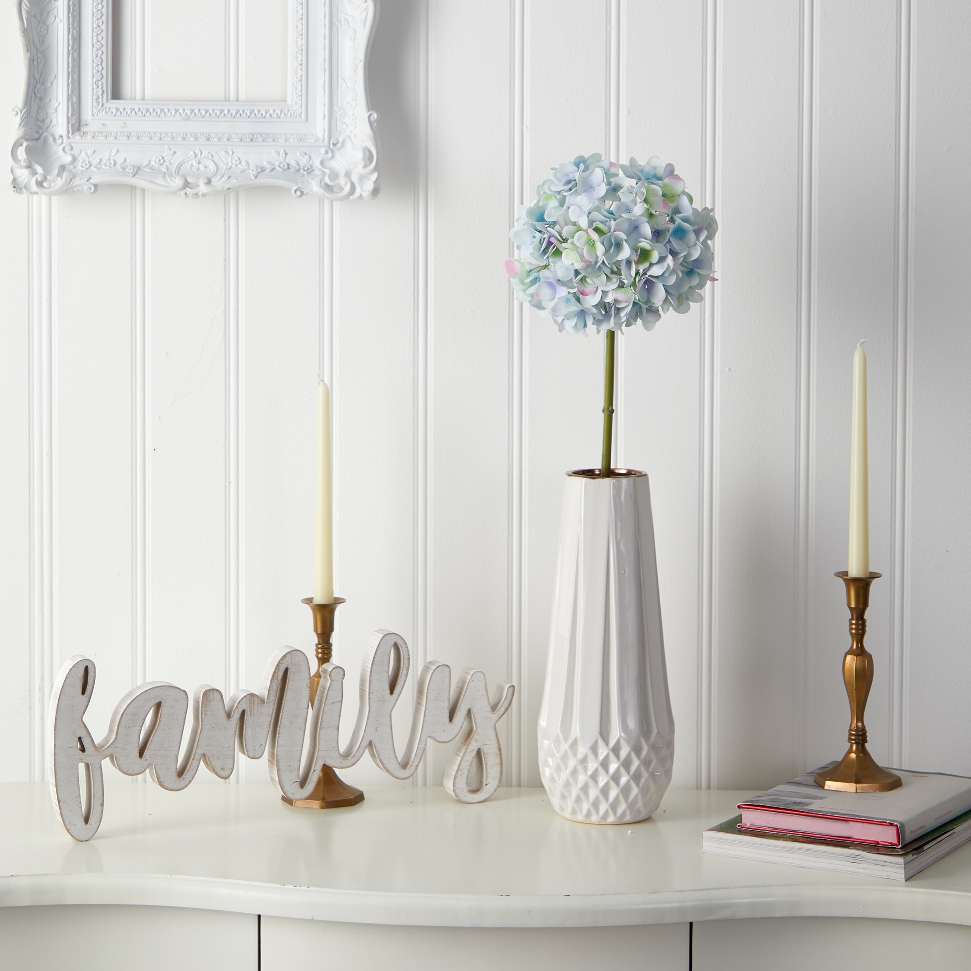 ブランテリア Haworthia andriesensis n.n., DMC07002, Andrieskraal