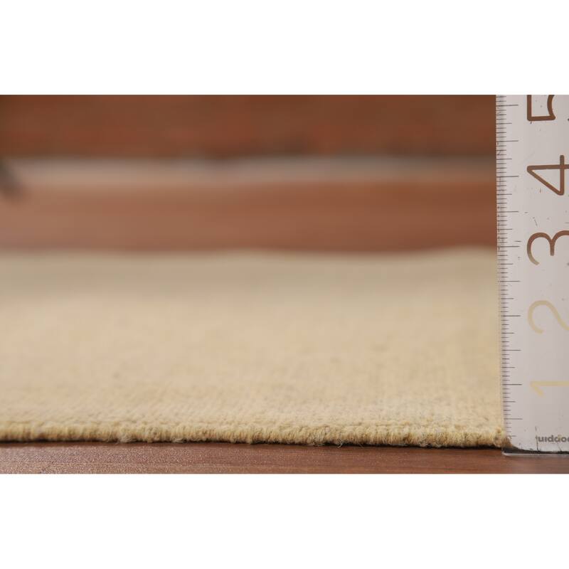 Modern Solid Gabbeh Oriental Foyer Rug Hand-Knotted Wool Carpet - 2'9"x 3'11"