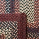 preview thumbnail 22 of 146, SAFAVIEH Handmade Braided Chandrima Cotton Rug