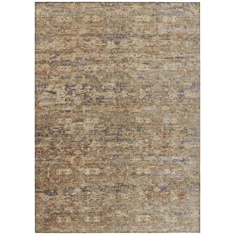 Machine Washable Indoor/ Outdoor Traditional Harmony Chantille Rug