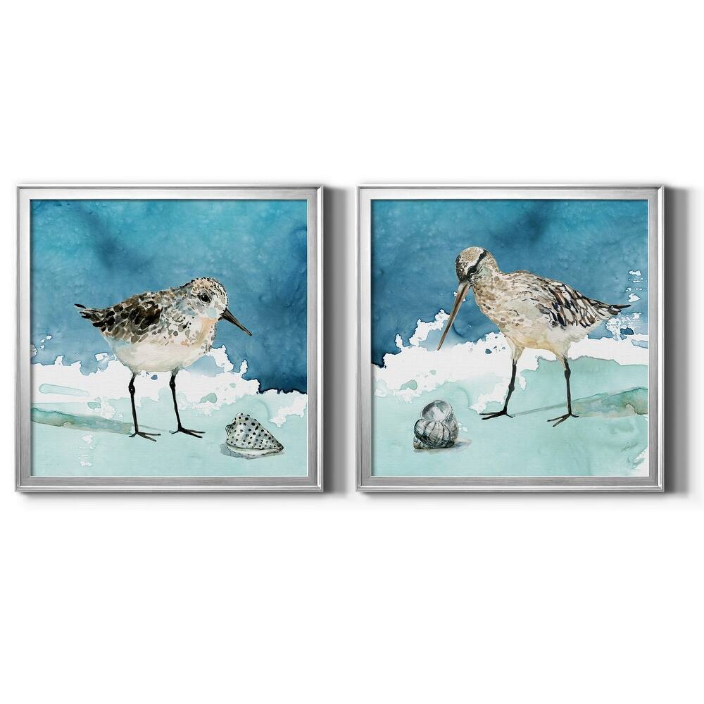 Delray Sandpiper I-Premium Framed Canvas - Ready to Hang - Multi-Color