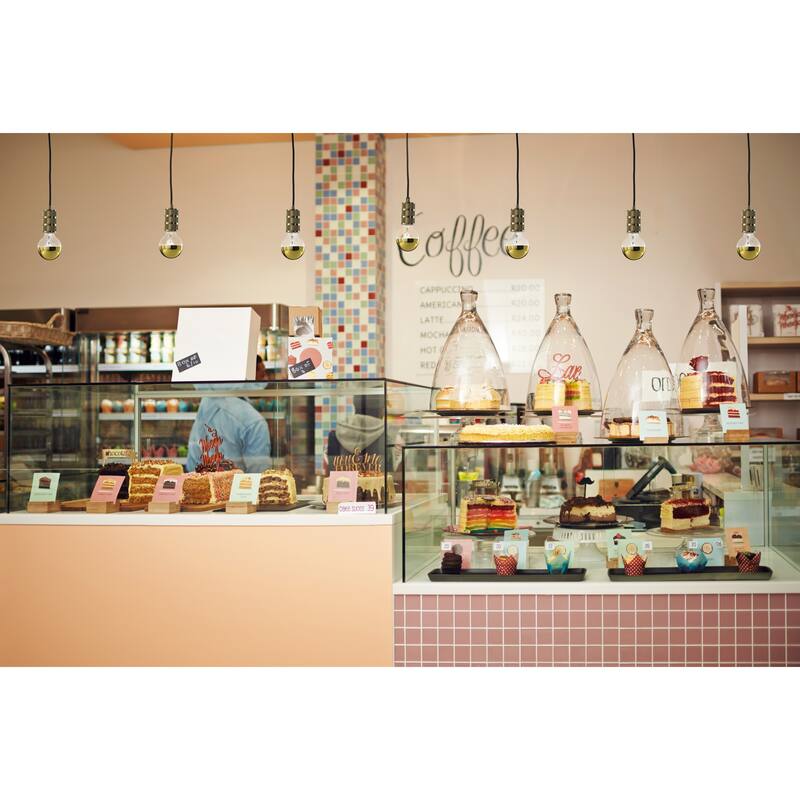 Bulbrite 1-Light Black Contemporary Pendant Socket and Canopy with LED Light Bulb