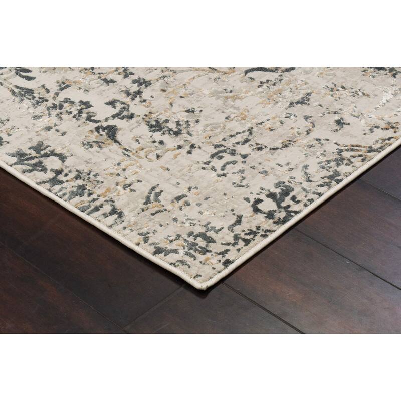 Dynamic Rugs Quartz Traditional Area Rug