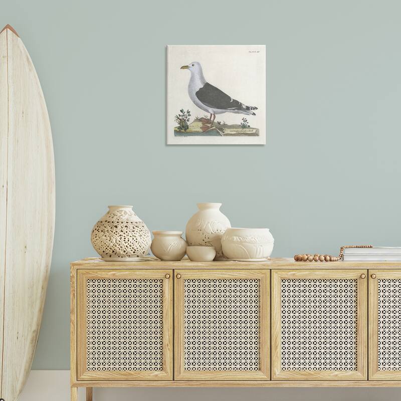 Stupell Vintage Seagull Study Diagram Canvas Wall Art Design By Phillipa Katz