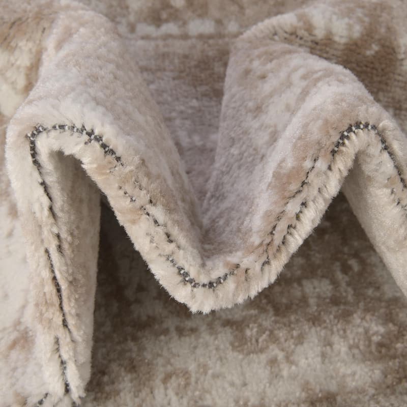 Transitional Fredo Collection Area Rug