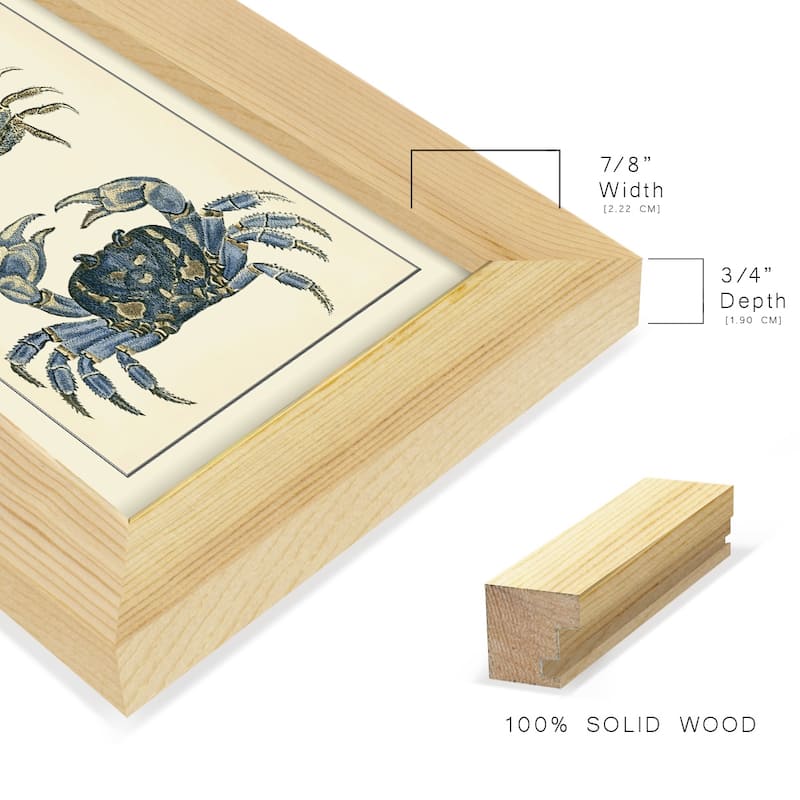 Antique Blue Crabs II -Framed Print w/glass-Cherry Red