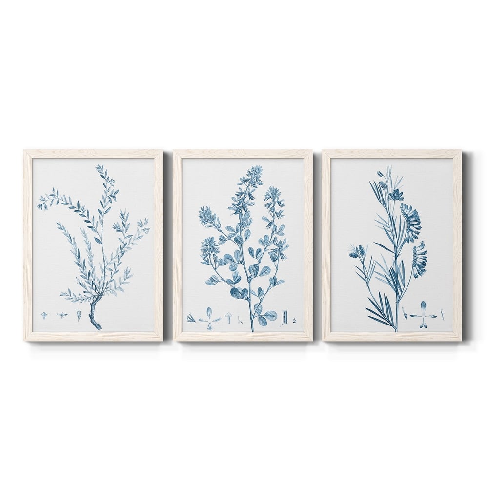 Antique Botanical in Blue VII-Premium Framed Canvas - Ready to Hang - Multi-Color