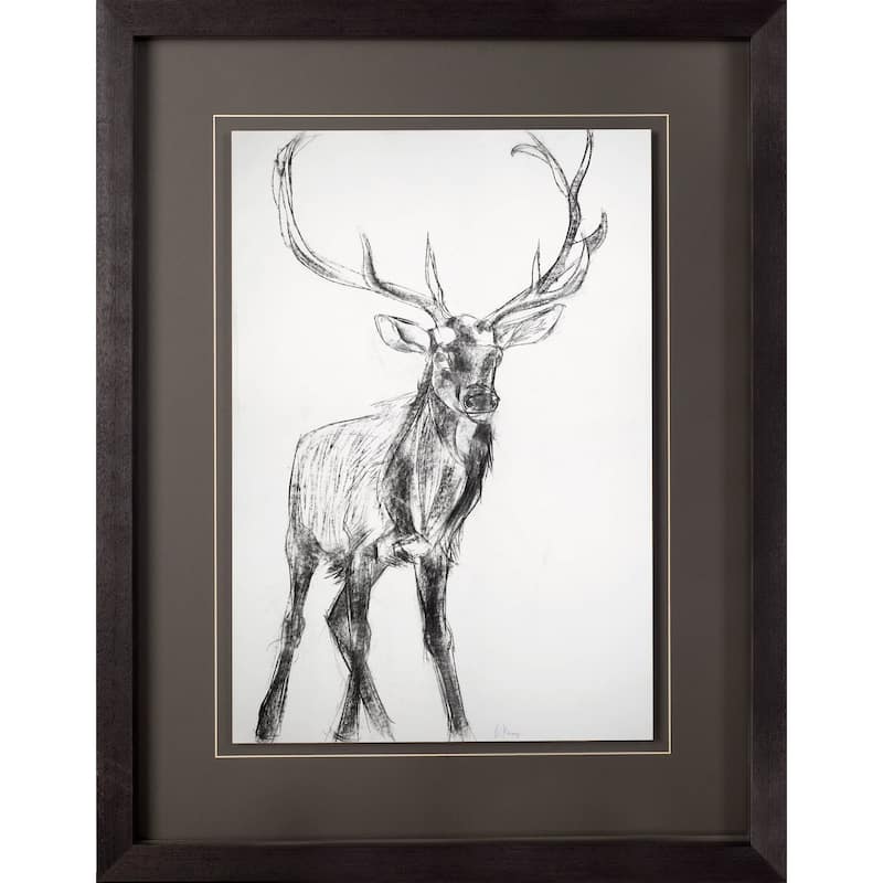 Young Elk Framed Art Print