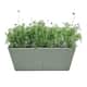 Option Sage Green