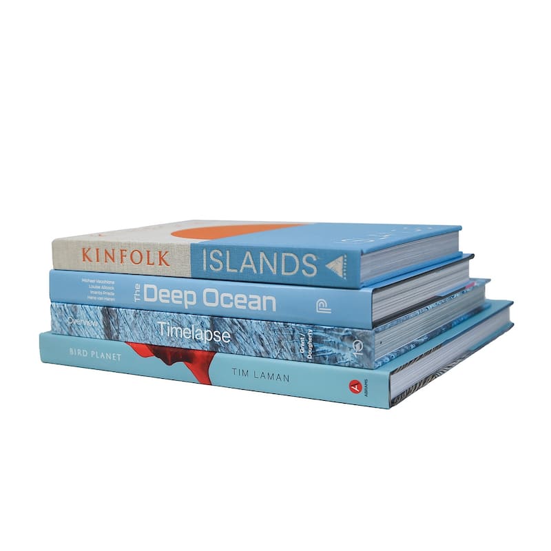Books Blue Decorative Accessories: Ocean ColorStak