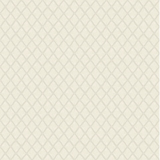 Fine Decor Santina White & Silver Trellis Wallpaper