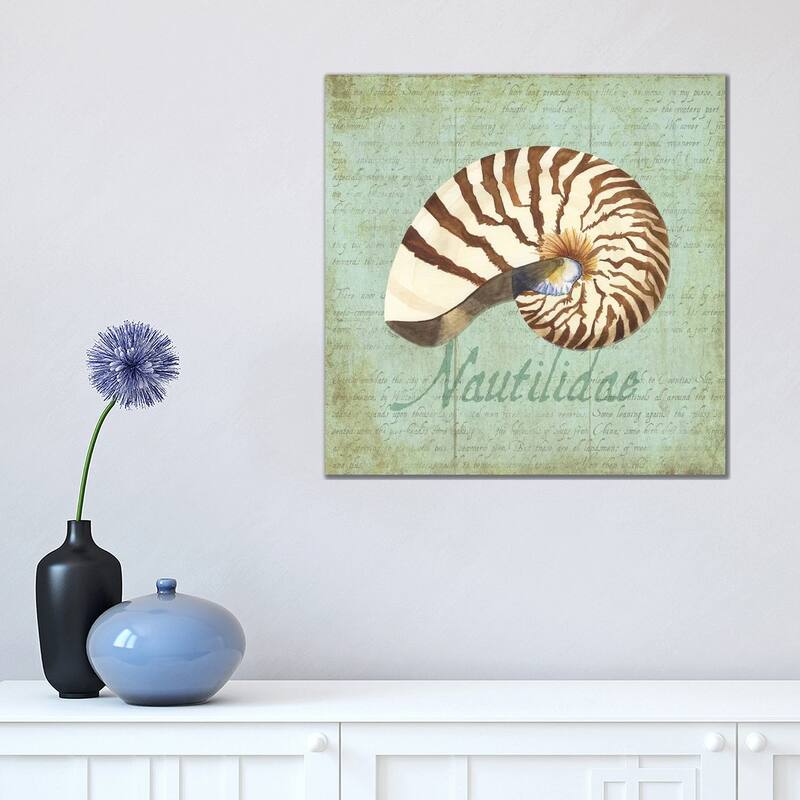 iCanvas "Oceanum Shells Green III" by Tara Reed Canvas Print - 18x18x1.5