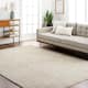 Option Light Gray