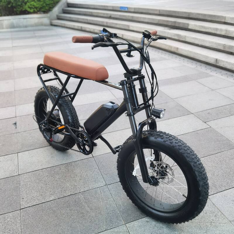 4" Wide Tires Shimano 6-Speed E-Bike with Removable Battery