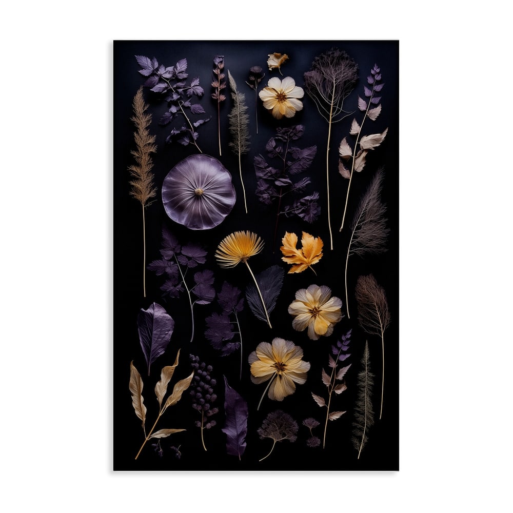 Stupell Flower Specimens on Black Canvas Wall Art Design By Heidi Kuntz
