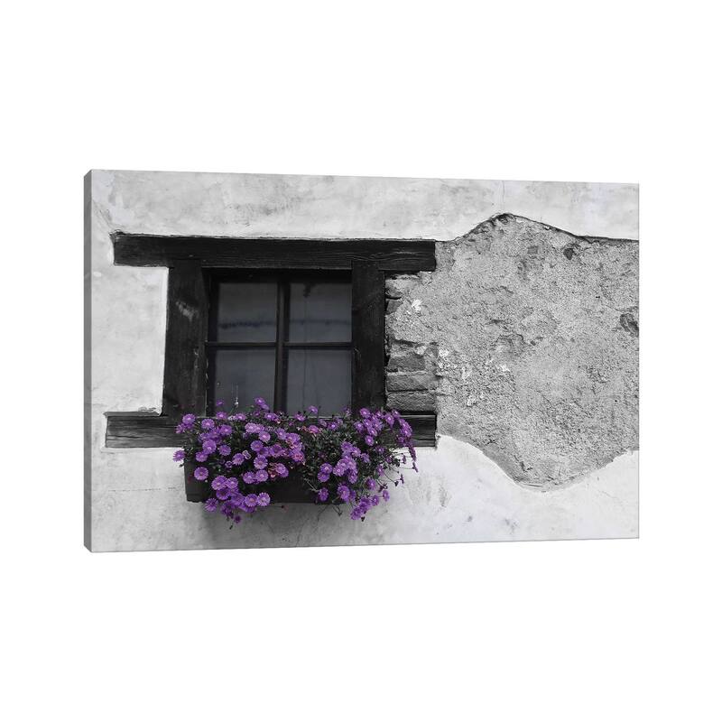 iCanvas "Purple Flower Box In Black And White" by Susan Vizvary Canvas Print