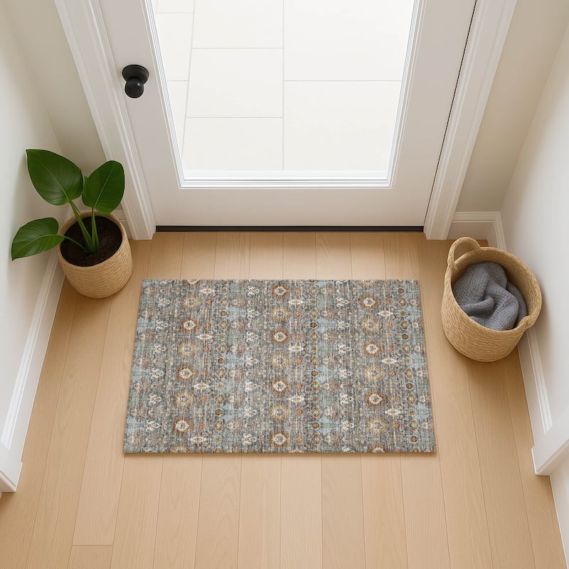Machine Washable Indoor/ Outdoor Traditional Xander Chantille Rug