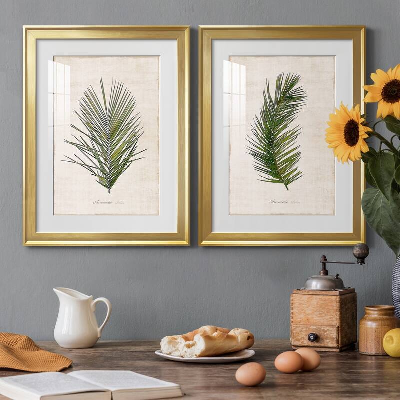 Palm Botanical I Premium Framed Print - Ready to Hang
