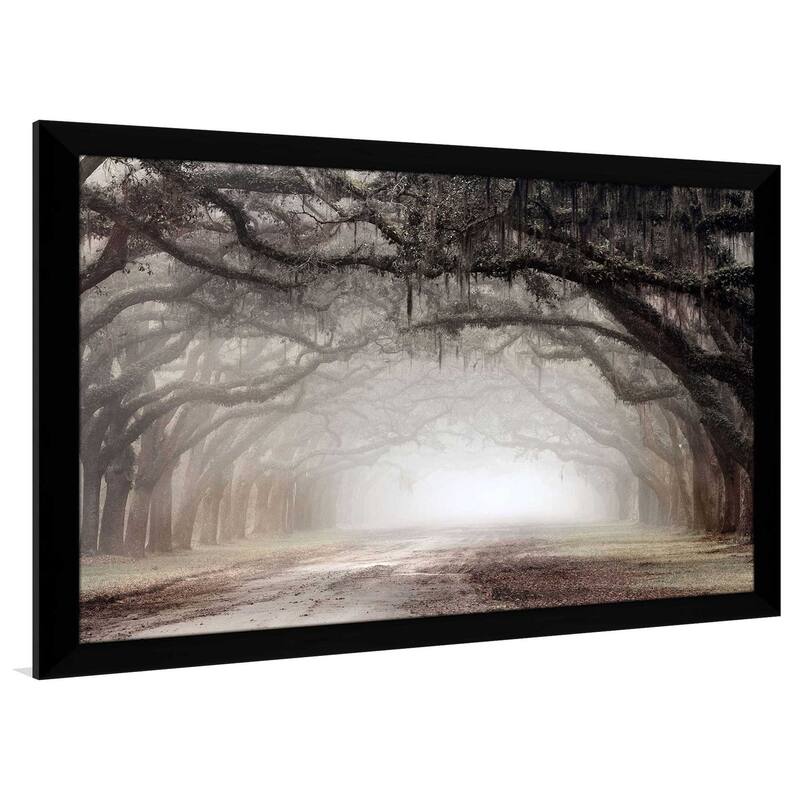 "Timeless Plantation Drive" by Danita Delimont Print on Acrylic