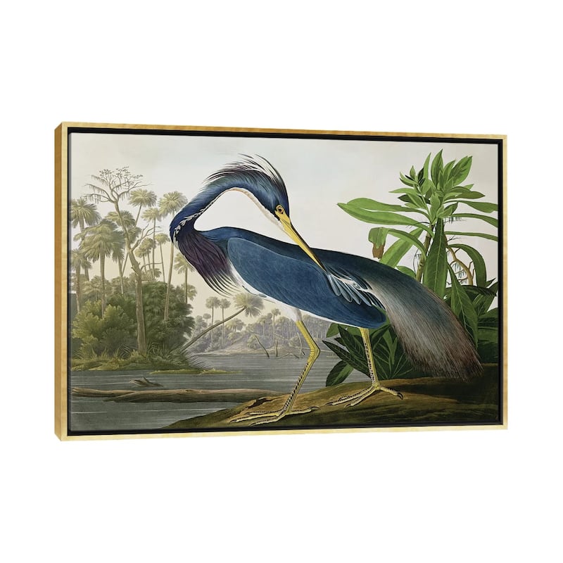 iCanvas "Louisiana Heron" by John James Audubon Framed Canvas Print - Gold - 26x40
