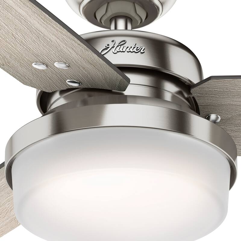 Hunter 44" Sentinel Ceiling Fan with LED Light and Handheld Remote - Soft Modern, Farmhouse, Transitional
