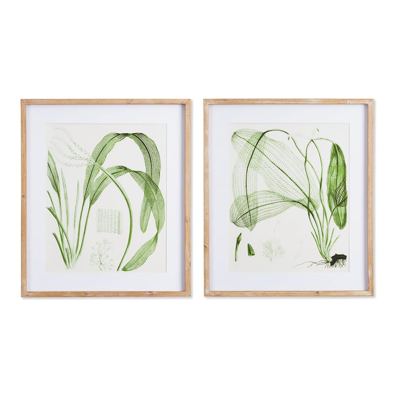 Aquatic Leaf Prints, Set Of 2