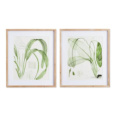 Aquatic Leaf Prints, Set Of 2