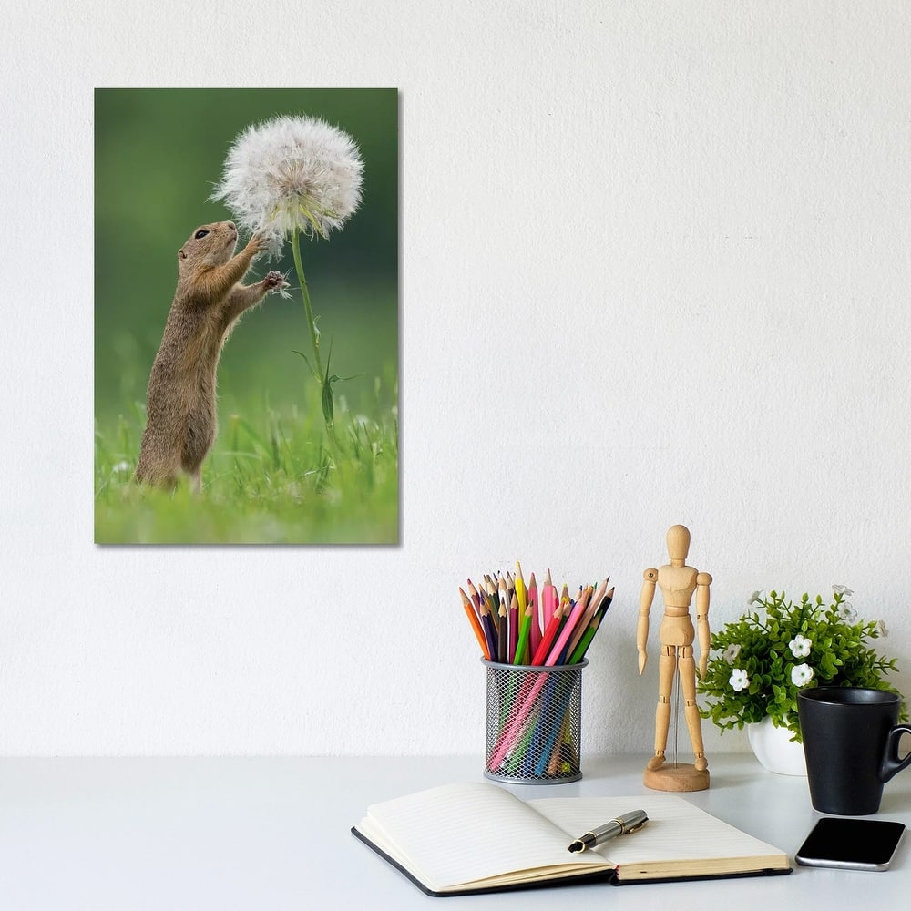 iCanvas "Ziesel With A Very Big Dandelion IV" by Dick van Duijn Canvas Print