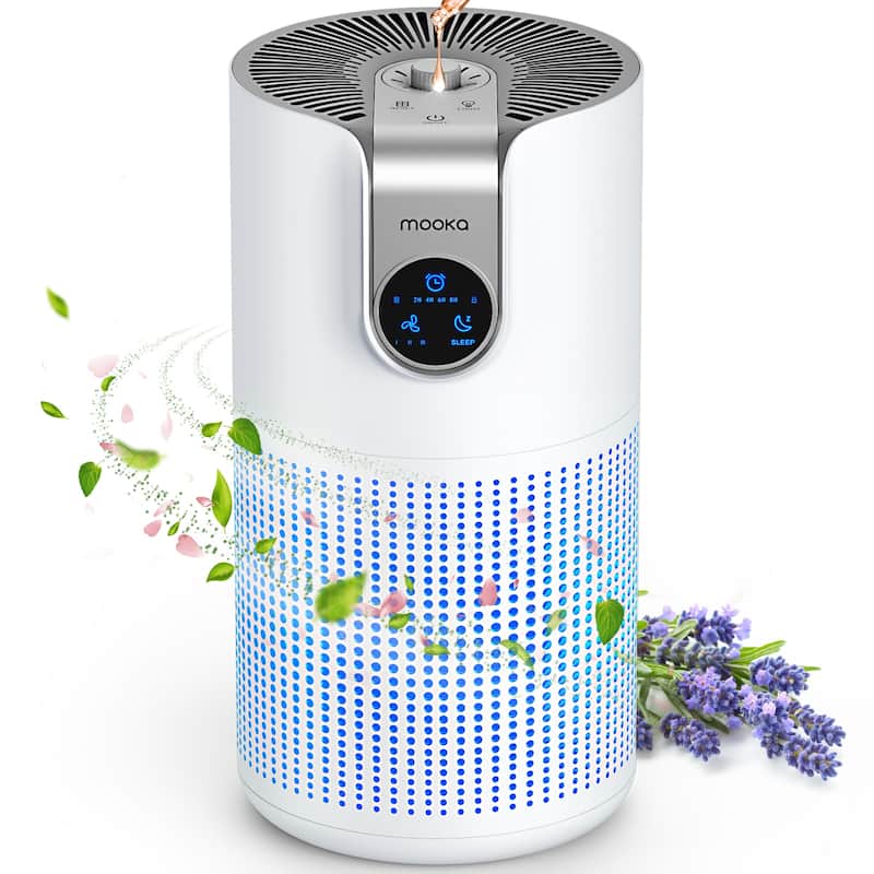 Large Room HEPA Air Purifier with Quiet Sleep Mode