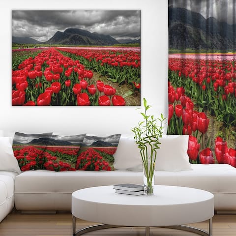 Designart 'Rows of Bright Ruby Red Tulips' Landscape Wall Art Print Canvas