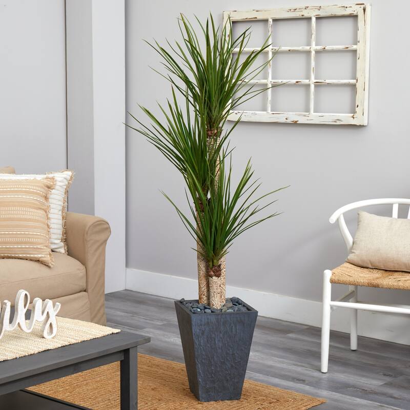 5.5ft Triple Stalk Yucca Artificial Plant with Green Leaves in Slate Planter for Modern Home Decor