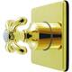 Option Polished Brass