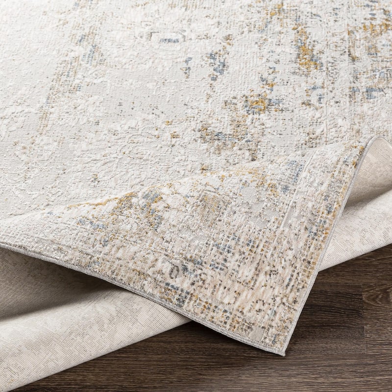 Chadwick Vintage Border Area Rug